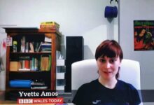 yvette amos