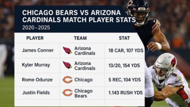 chicago bears vs arizona cardinals match player stats