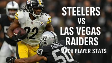 steelers vs las vegas raiders match player stats